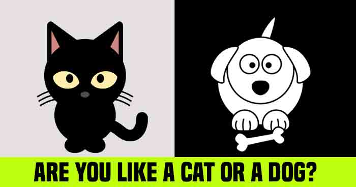 are-you-like-a-cat-or-a-dog-quiz